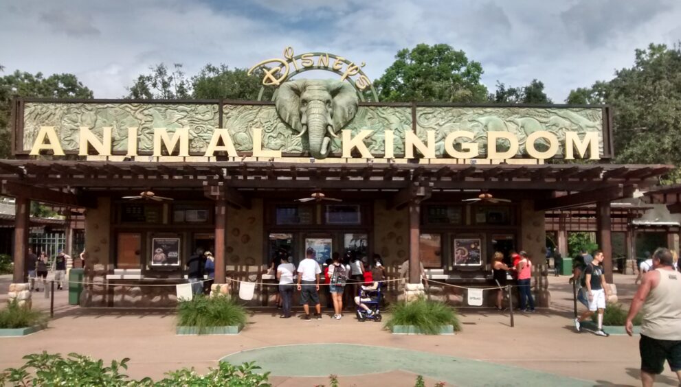 Roteiro para Disney - Adventures 4 nerds