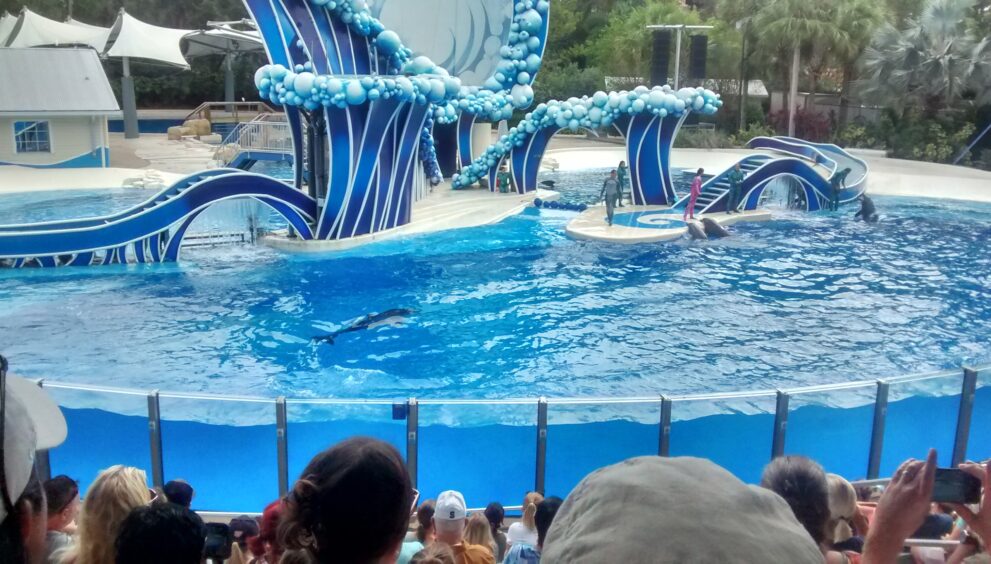 Roteiro para Disney - Adventures 4 nerds