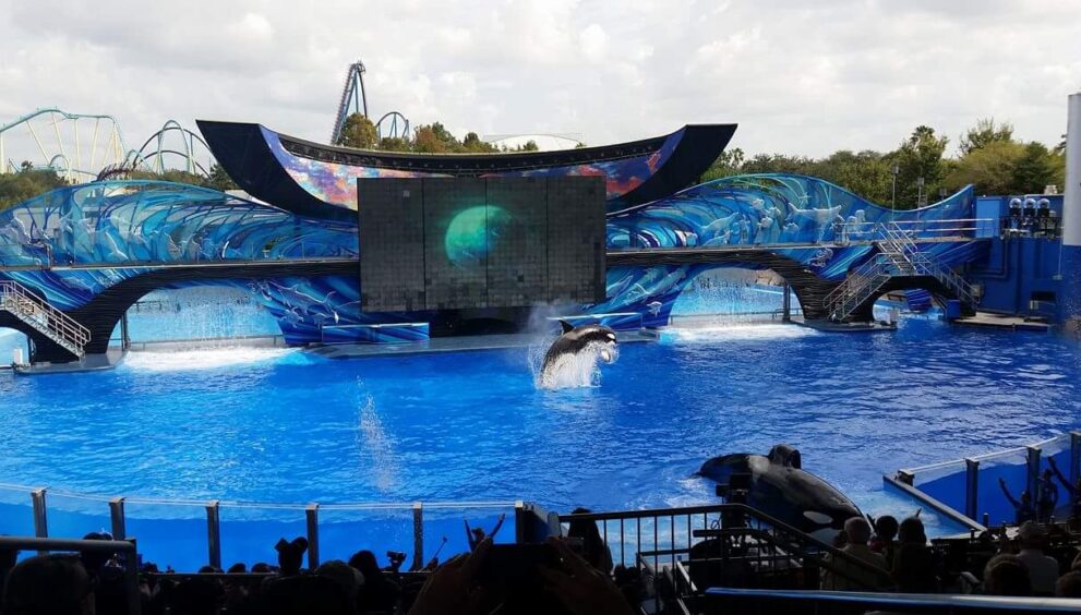 Roteiro para Disney - Adventures 4 nerds