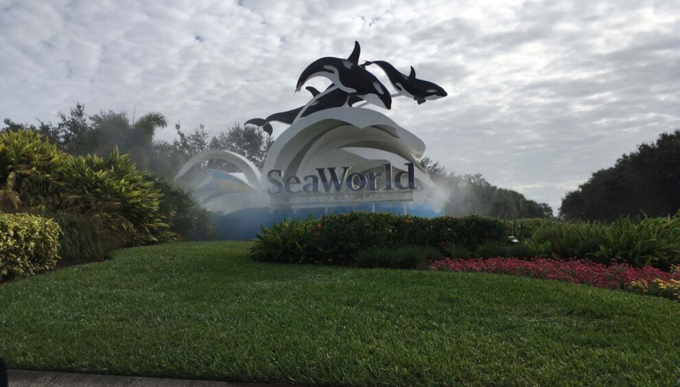 Roteiro para Disney - Adventures 4 nerds