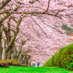 7 Erros na Compra de Passagens Aéreas e Dicas para Evitá-los