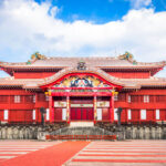 Air New Zealand Revela Preço dos Novos Sleep Pods da Classe Econômica: Uma Revolução no Céu