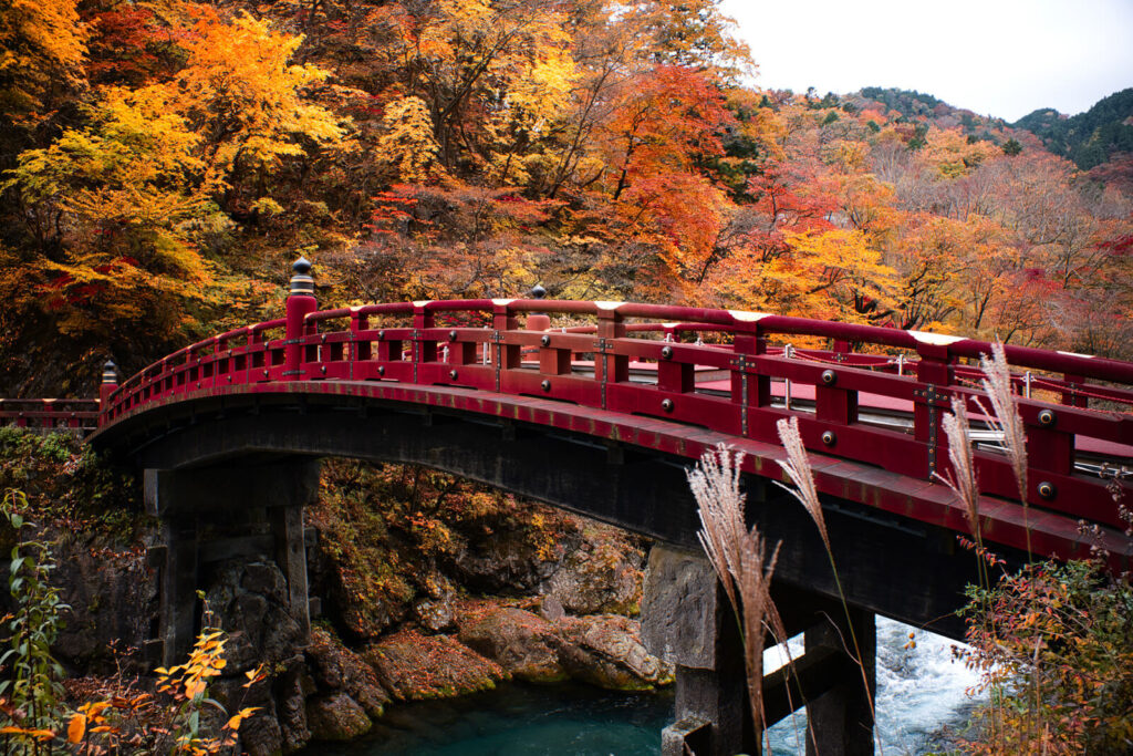 Explore Nikkō: Entre em Mundos Encantados e História Viva!