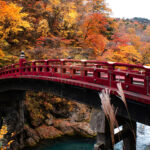 Aproveite Paris ao Máximo: Entrada Gratuita em Museus Famosos!