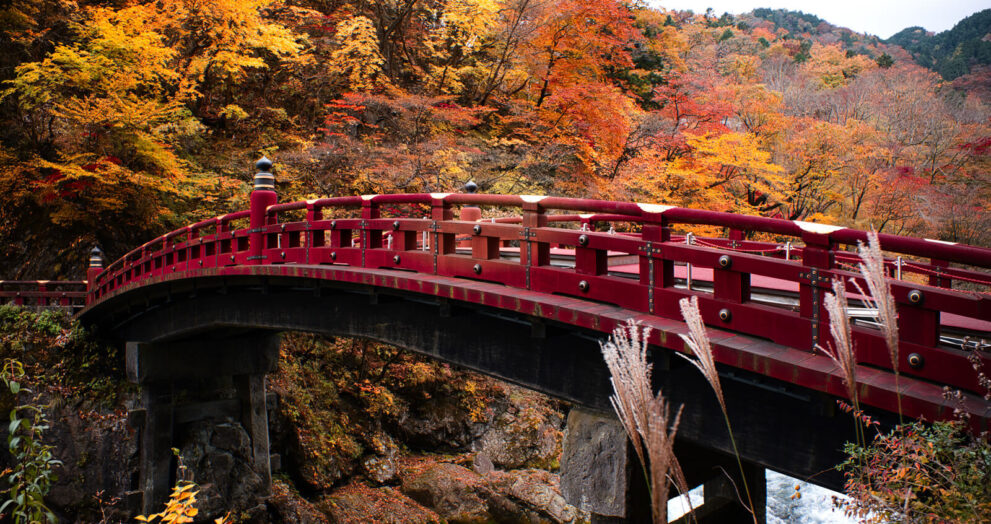 Explore Nikkō: Entre em Mundos Encantados e História Viva!