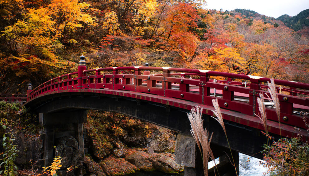 Explore Nikkō: Entre em Mundos Encantados e História Viva!