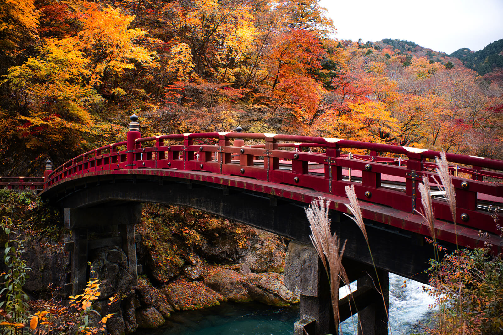 Explore Nikkō: Entre em Mundos Encantados e História Viva!