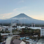 As Cerejeiras em Flor no Japão: Um Espetáculo da Natureza que Você Não Pode Perder!