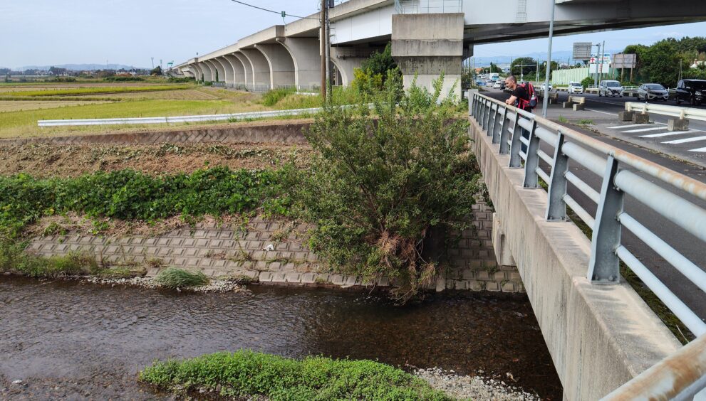 IMG_20231008_103931353