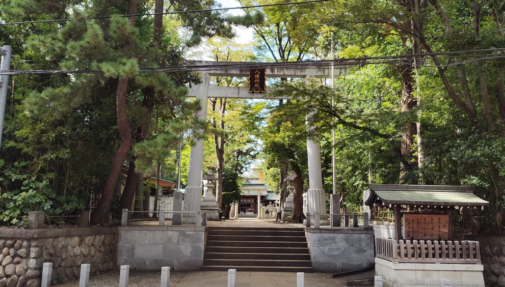 IMG_20231011_122438886