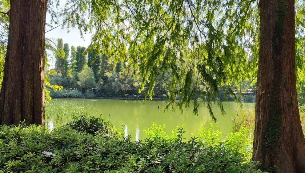 IMG_20231011_135420091_HDR