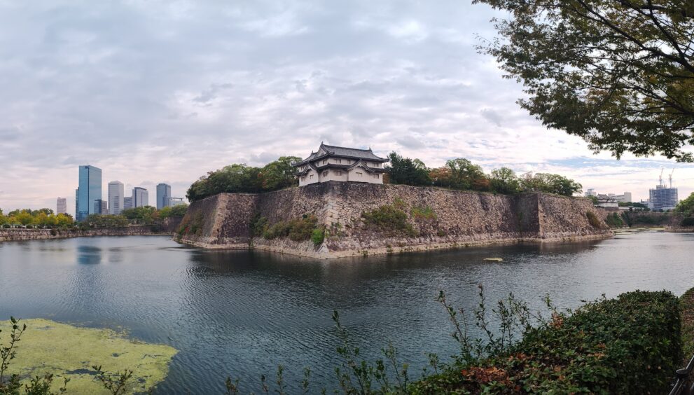 IMG_20231020_122356795