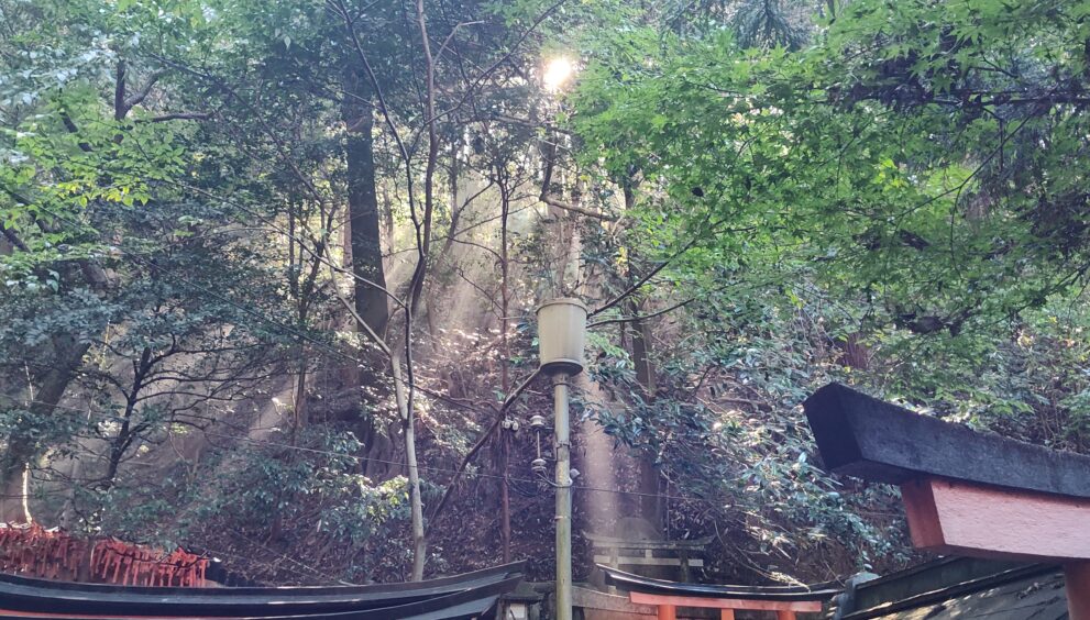 IMG_20231021_131443589