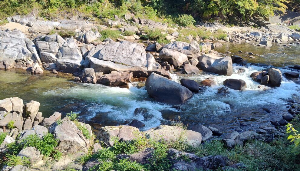 IMG_20231024_131340371_HDR