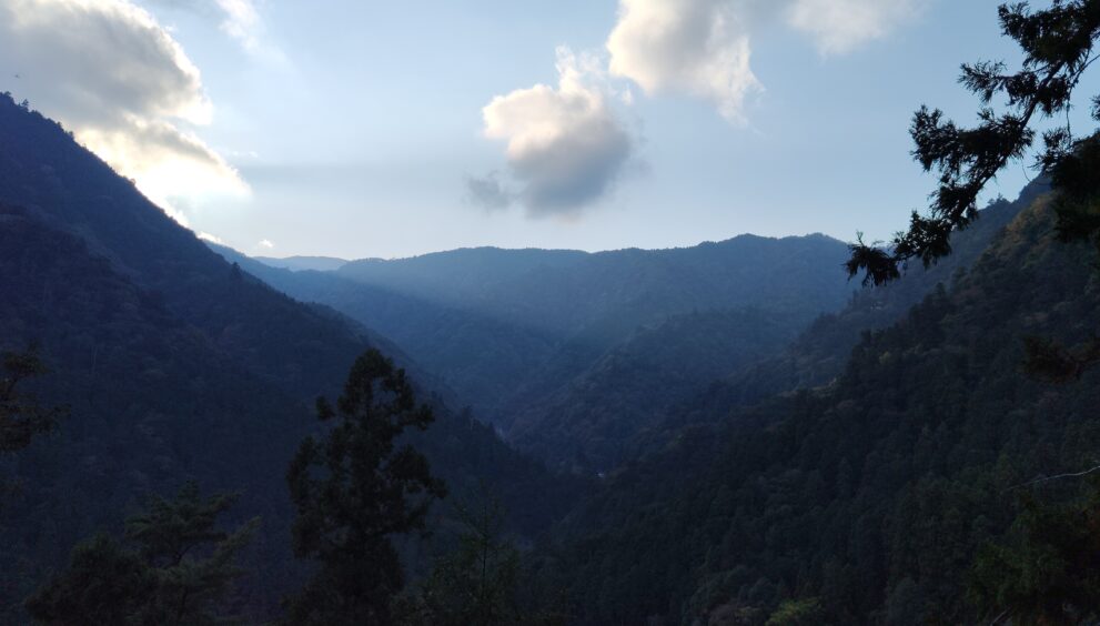 IMG_20231027_153013534