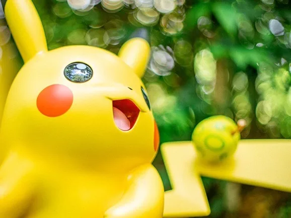 Pokemon no paque
