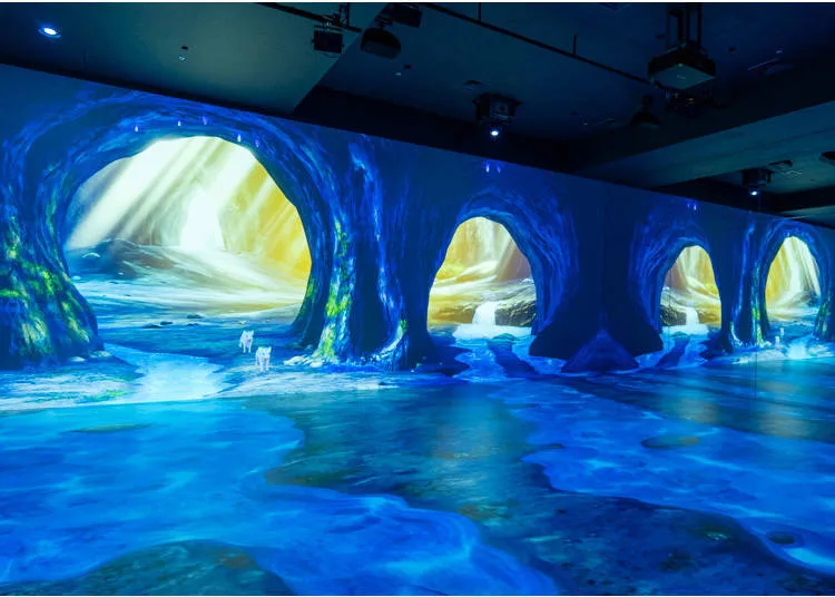 Zona imersiva do Wonderia Yokohama com projeções digitais de natureza