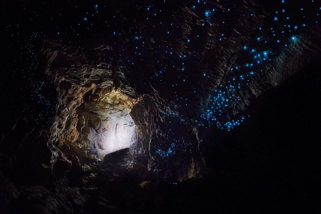 Pontos bioluminescentes no teto das cavernas de Waitomo na Nova Zelândia