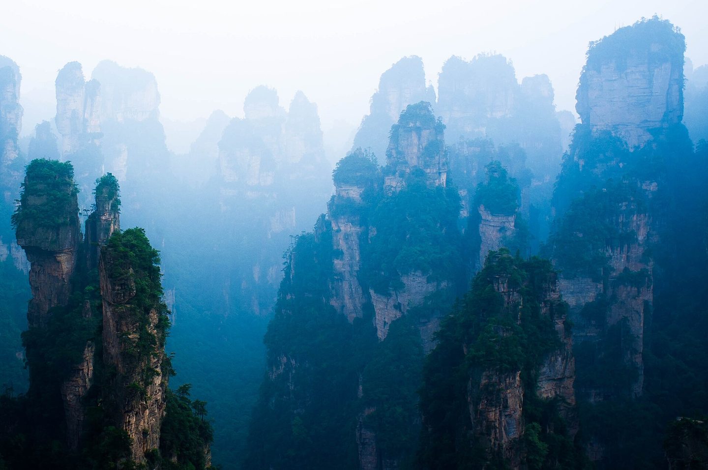 Torres rochosas cobertas por vegetação em Zhangjiajie na China